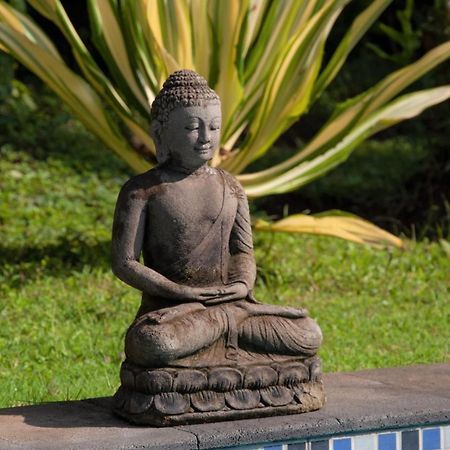 Villa Kelapa 러비나 외부 사진