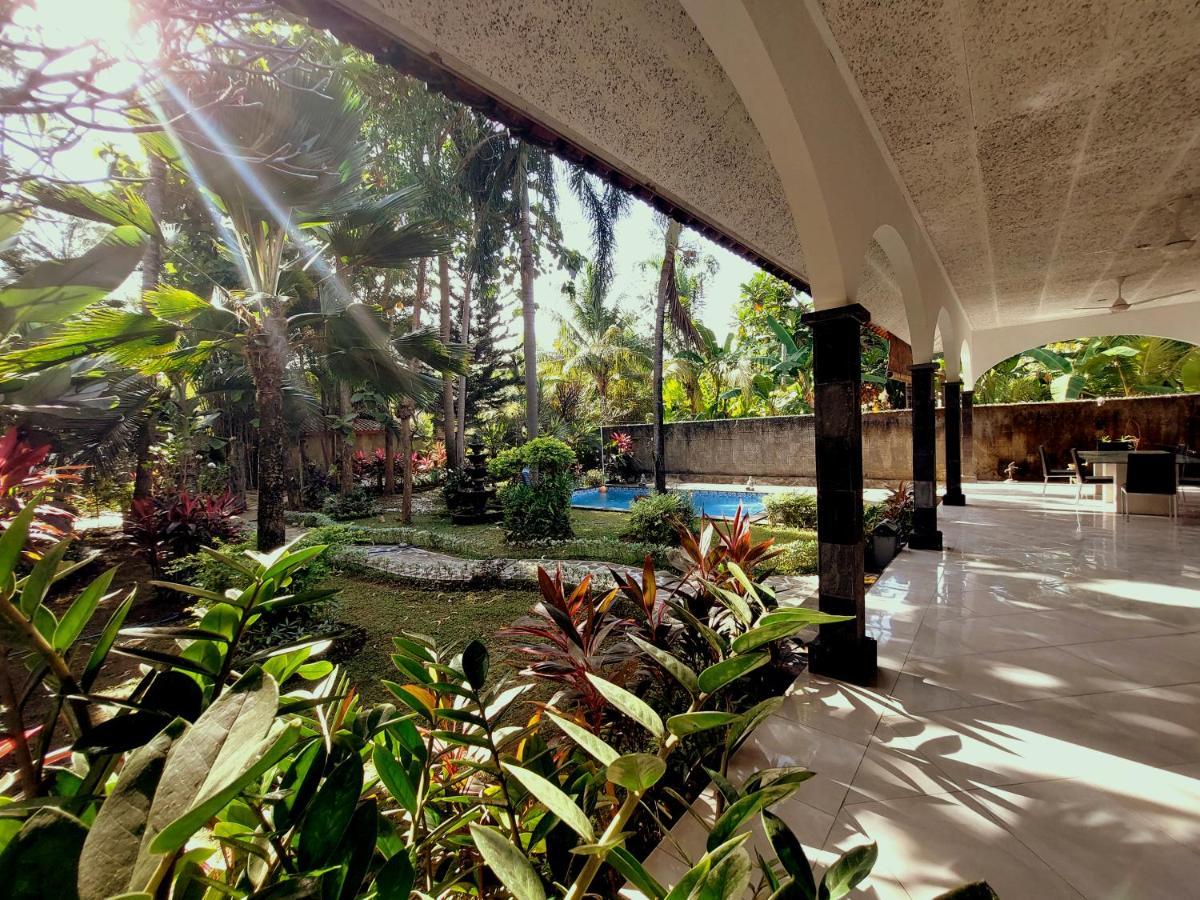 Villa Kelapa 러비나 외부 사진