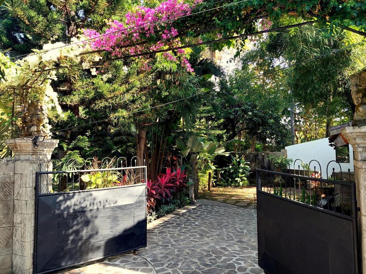 Villa Kelapa 러비나 외부 사진