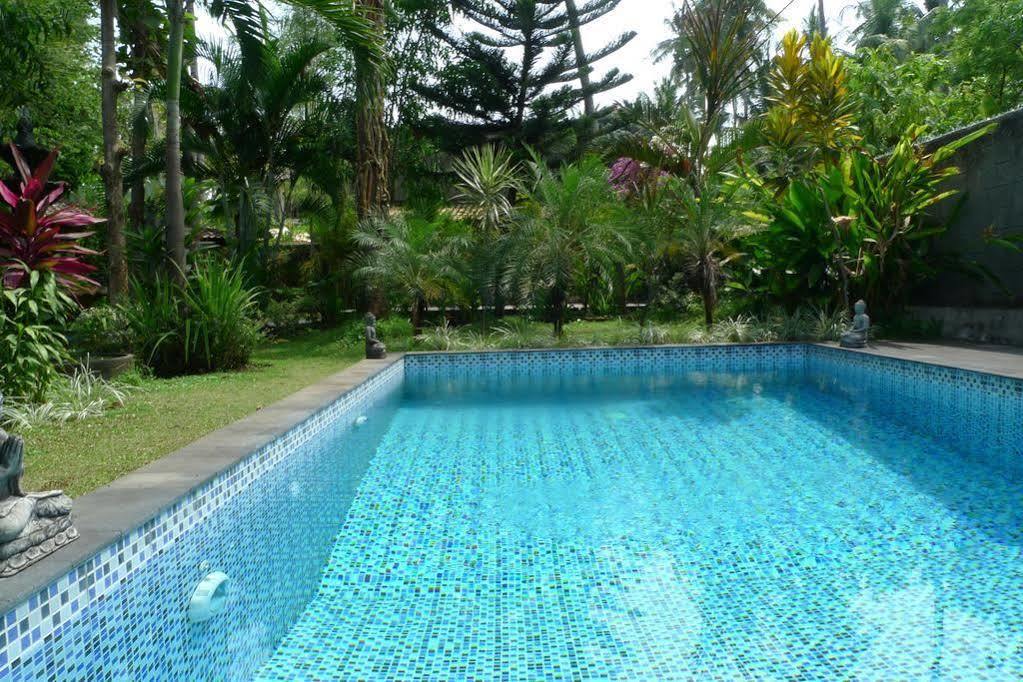 Villa Kelapa 러비나 외부 사진